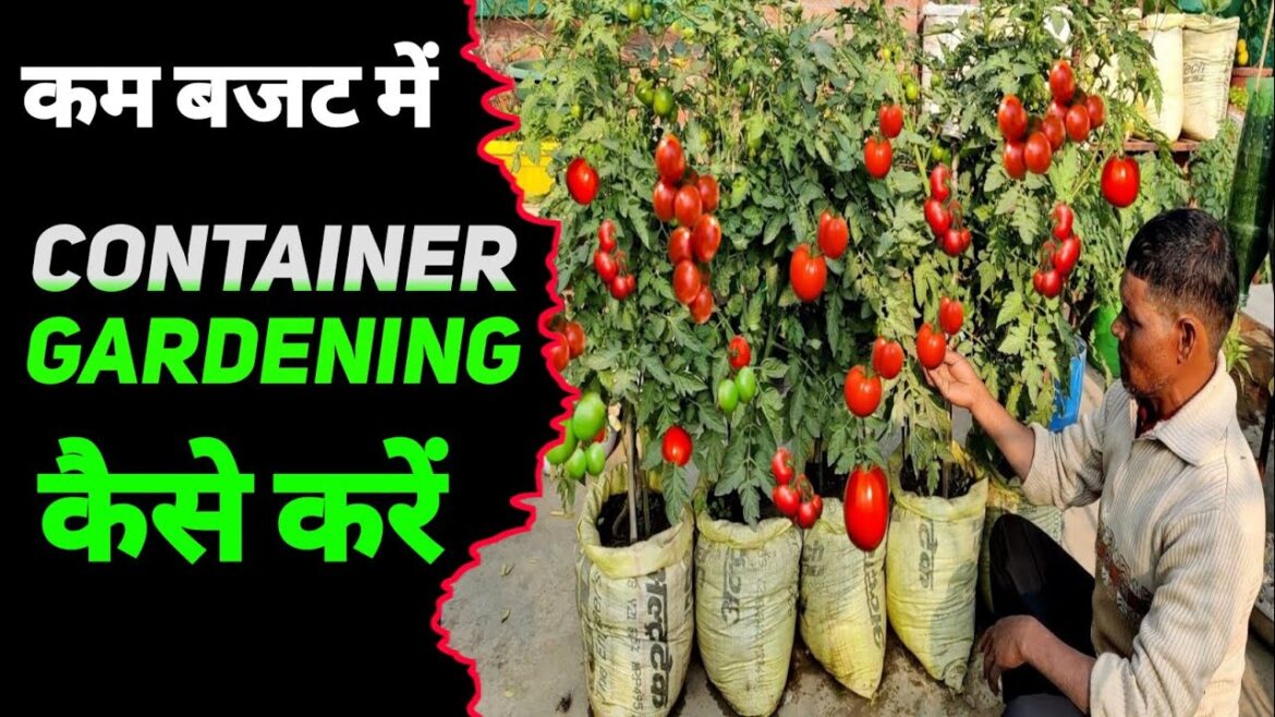 How to Grow a CONTAINER Garden | CHEAP and EASY Patio Gardening | garden kaise banaye
