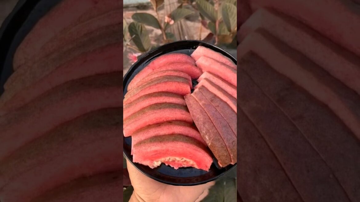 CULTIVATION OF BLACK GUAVA AT HOME.🍎🍏#shorts #agriculture #fruit