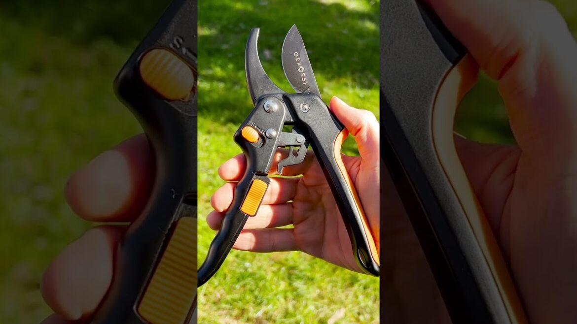 Best gardening cutting tools – Ratchet Pruning Shears #shorts #gardening #diy Best gardening cutting tools - Ratchet Pruning Shears #shorts #gardening #diy