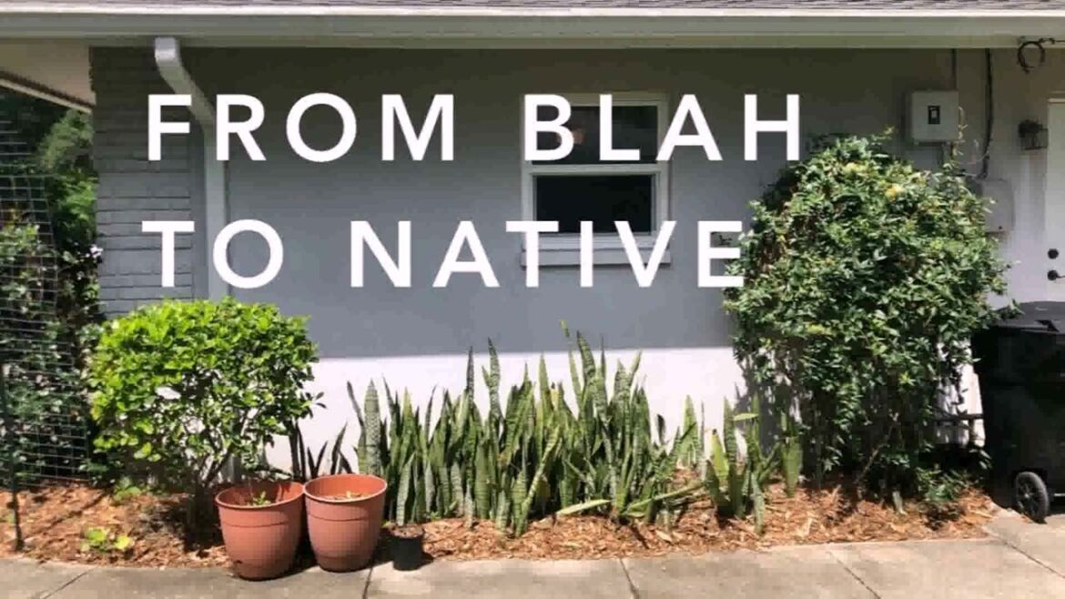 Front Yard Landscaping Ideas With Native Plants