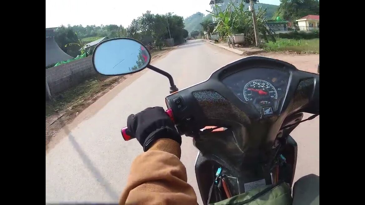 Edible Landscaping    Integrating Food Plants into Your Garden Design