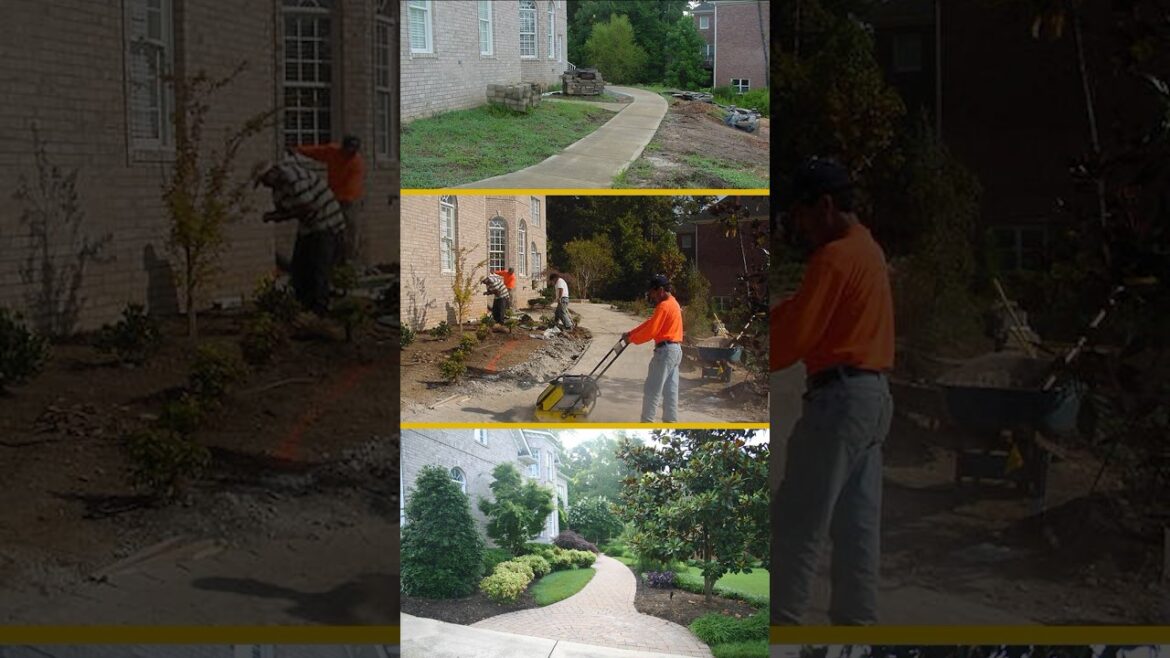 Frontyard landscape makeover time lapse 🔨#beforeandafter