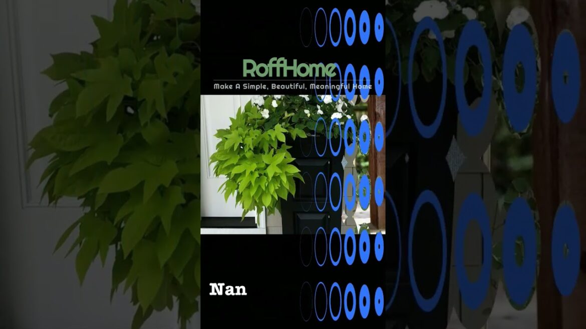 Elevate your home decor with planters that add a of nature's Elegance #homedecor #garden