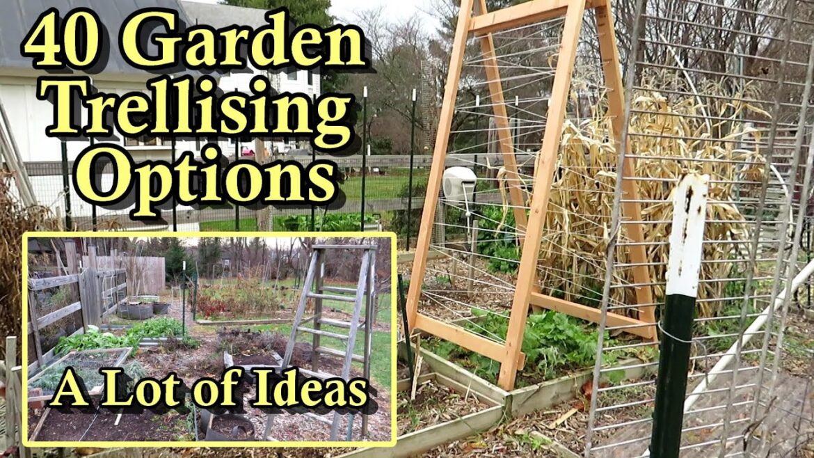 Gary Pilarchik: 40 Garden Trellising Examples for Growing Vegetables Vertically: All DIY Budget Friendly Options 40 Garden Trellising Examples for Growing Vegetables Vertically: All DIY Budget Friendly Options
