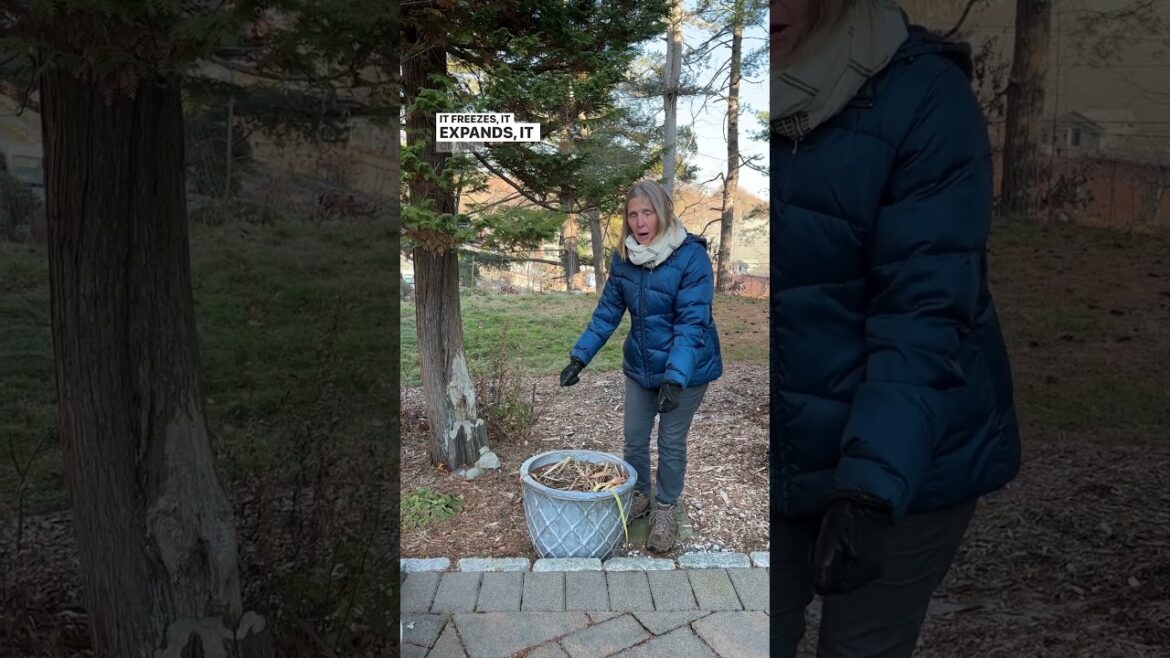 Protect Your Flower Pots From Freezing🥶🪴