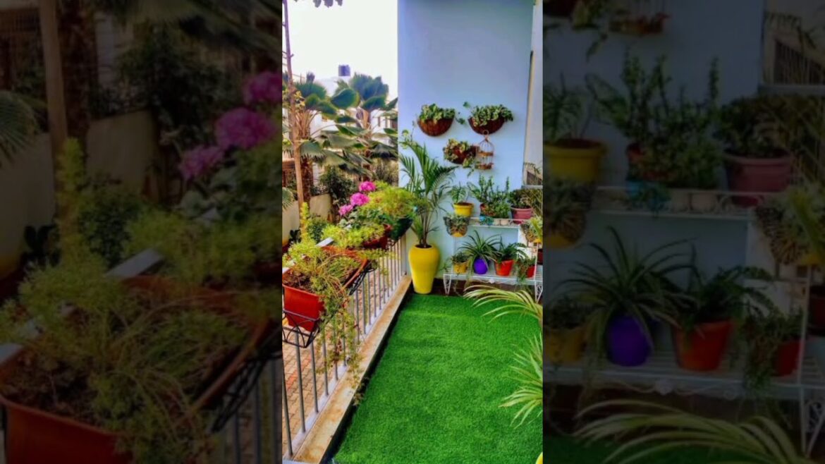 Beautiful Balcony Garden | Front Garden #shorts #viral #shortvideo