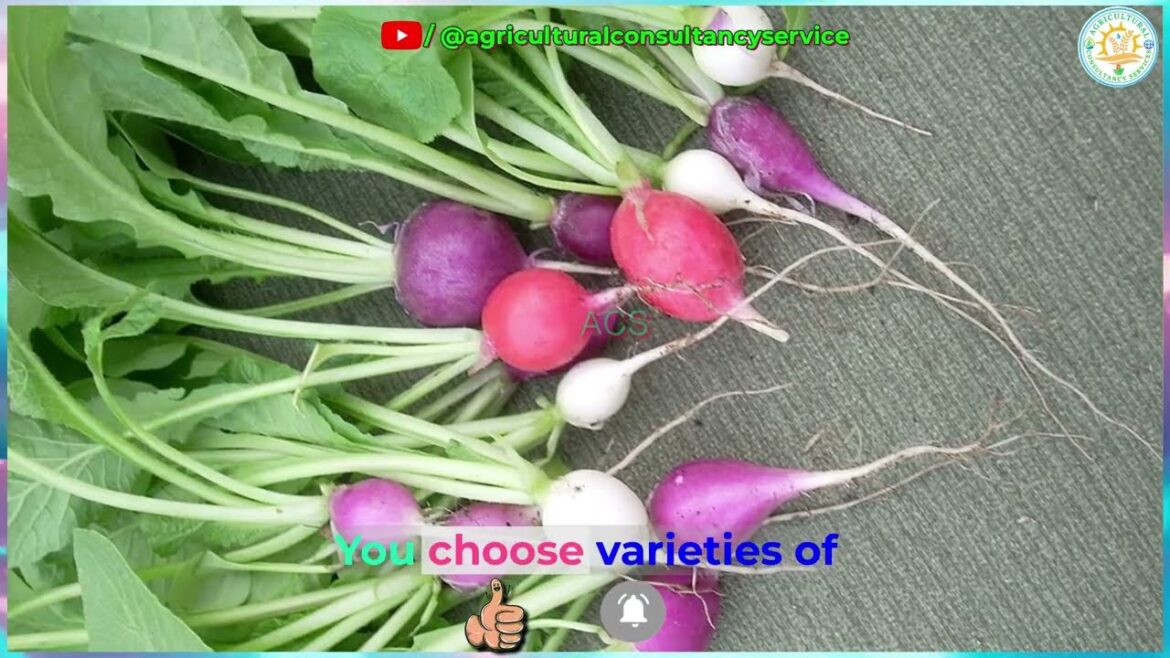 लाखों की कमाई: इन सब्जियों की खेती से बनेंगे किसान लखपति | किसानों को अमीर बनाने वाली सब्जियां