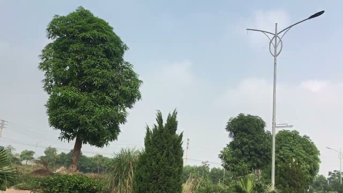 Winter Gardening Adventures: Growing in the Frost