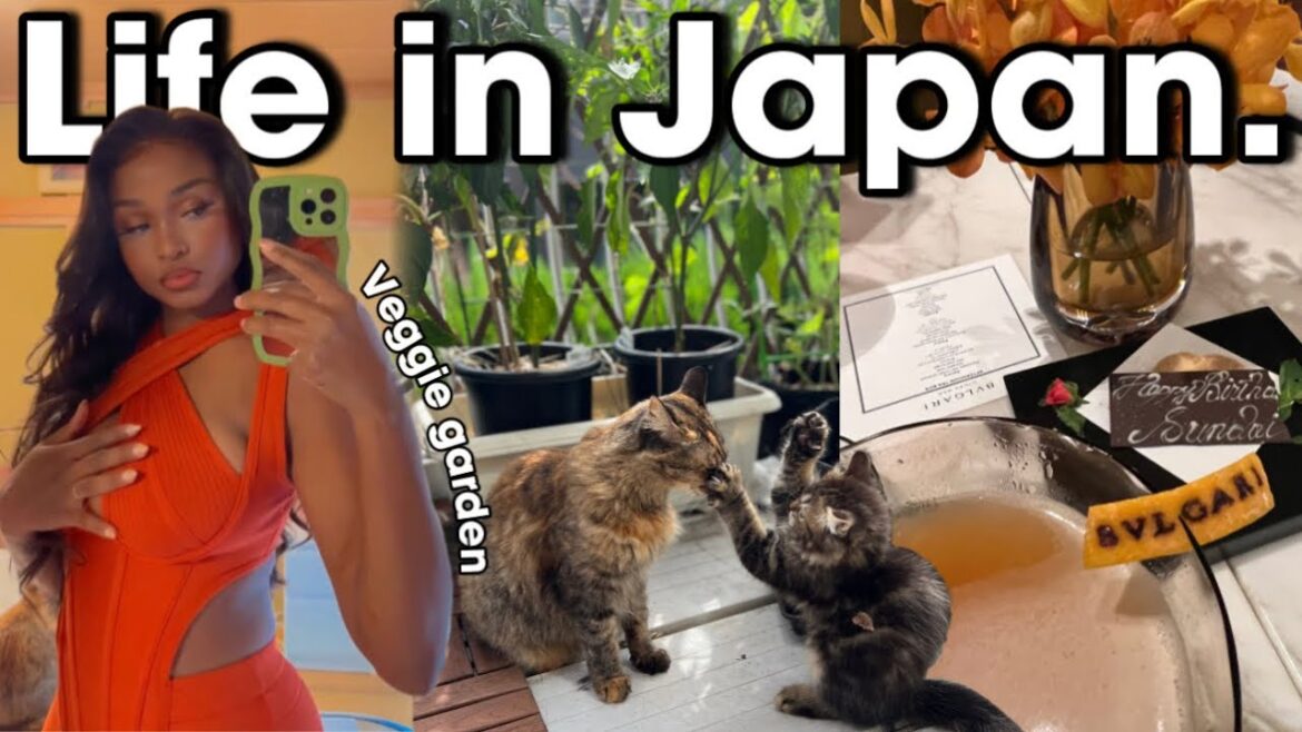 life in japan. Tokyo Ramen, Luxury Lunch in Ginza, AI planner, Balcony veggie garden