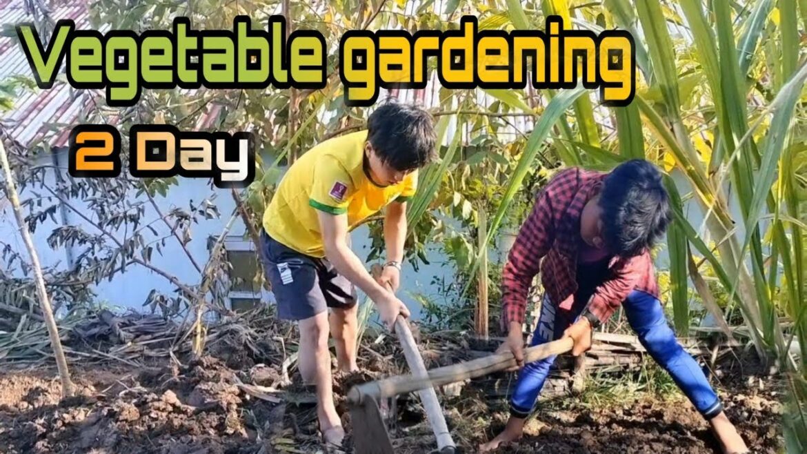 Boy doing vegetable gardening at home|| Arunachal Pradesh Boy doing vegetable gardening at home|| Arunachal Pradesh