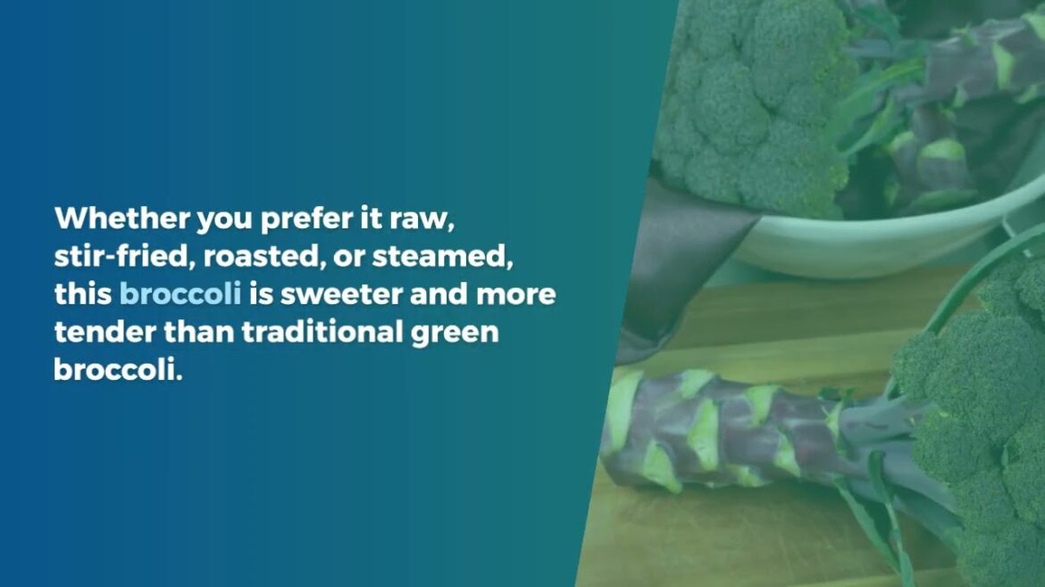 Broccoli Purple Magic