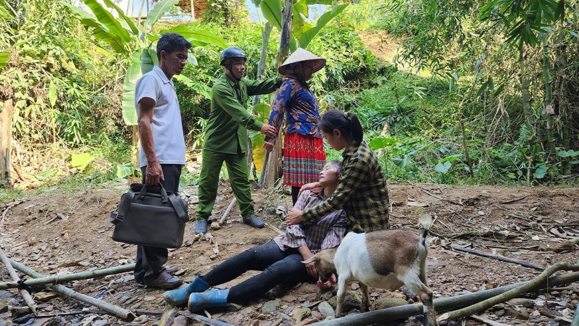 Full Video: 65 Days of Harvesting Agricultural Products, Gardening, Pet Care, Cooking, go to market