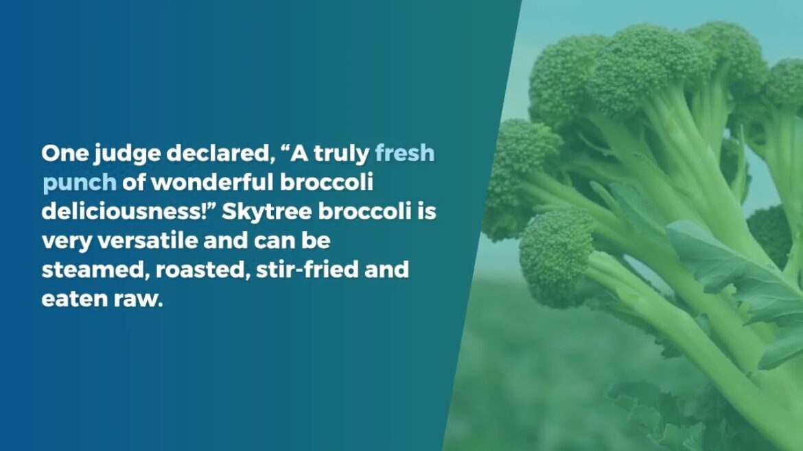 All-America Selections Flowers & Vegetables: Broccoli Skytree Broccoli Skytree