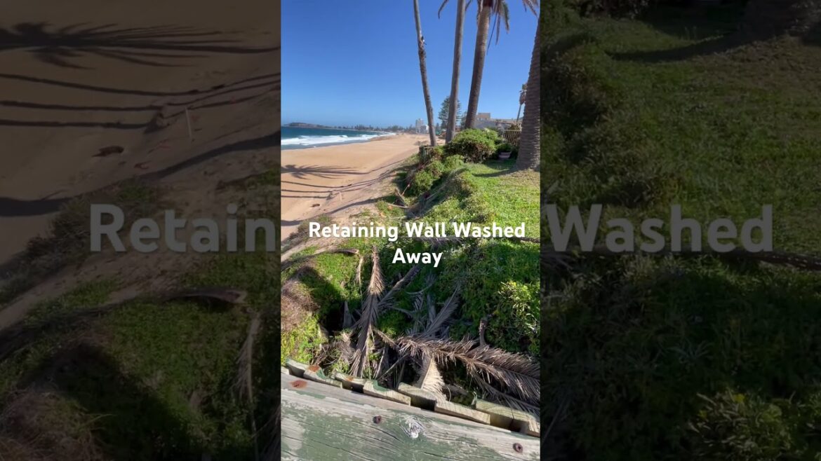 Grassed Front Yard Washed Away in Ocean Storm Damage 🌊 #garden #grass #storm