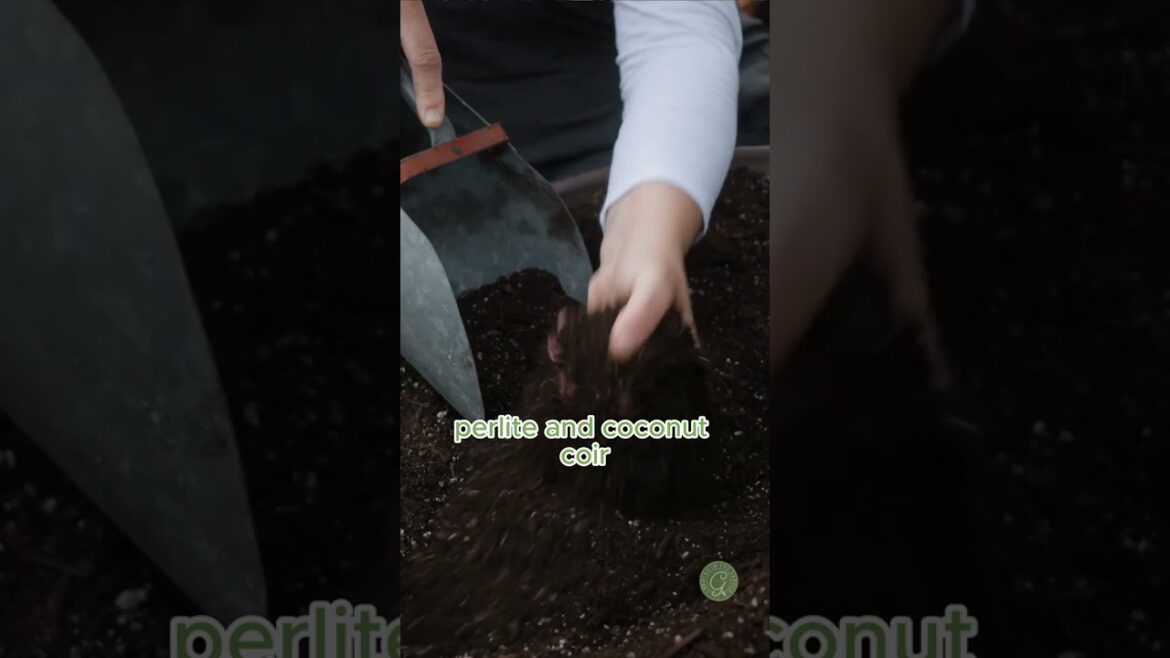 Raised Bed Mix from Arizona Worm Farm