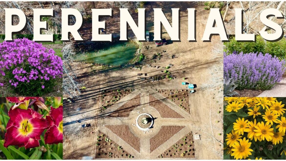 Proven Winners Signature Garden: Day 2 - Adding Perennials