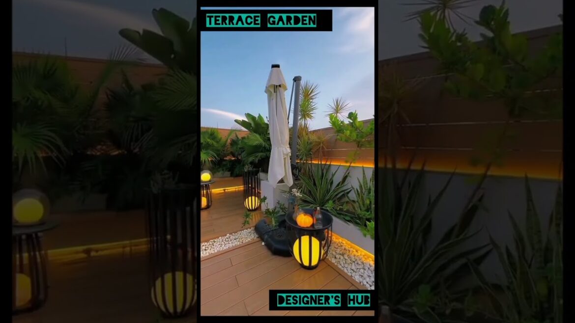 Terrace Garden Design 🏡 ll #terracegarden #shorts