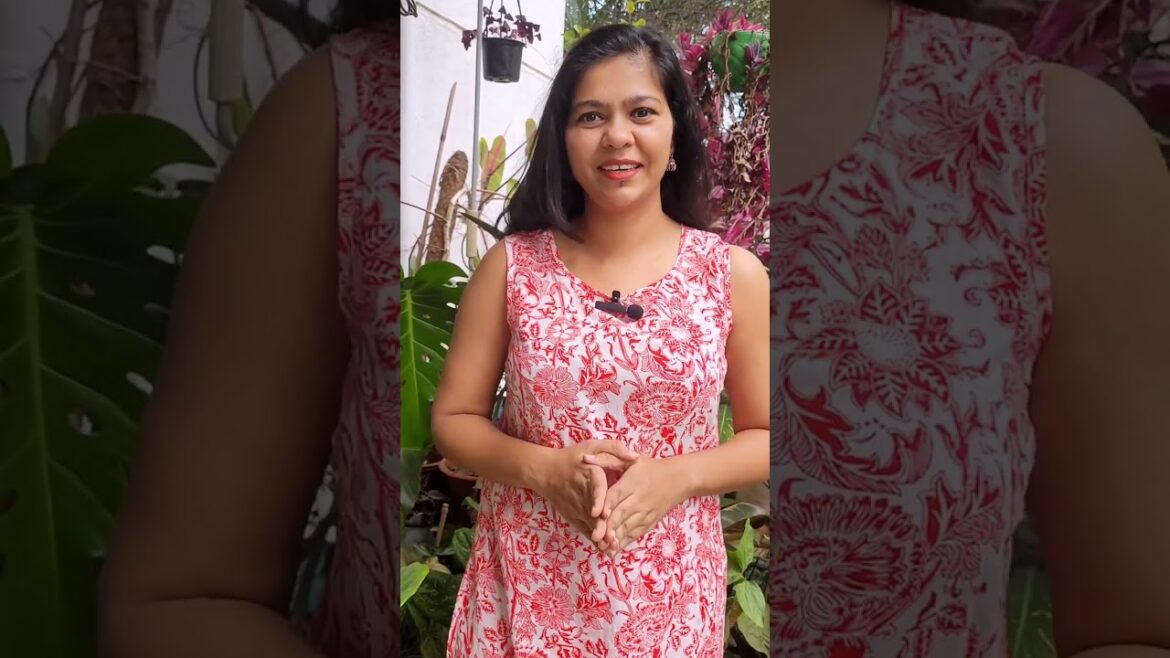 Unlock the Secret to Planting Success: Tips for the New Gardener! "Unlock the Secret to Planting Success: Tips for the New Gardener!"