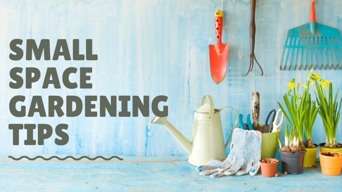 Small Space Gardening Tips Small Space Gardening Tips