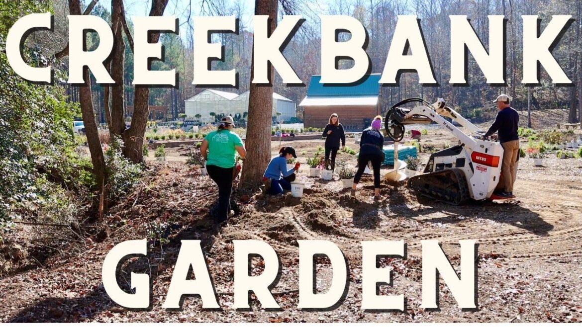 Proven Winners Signature Garden: Day 3 - Creekbank Garden