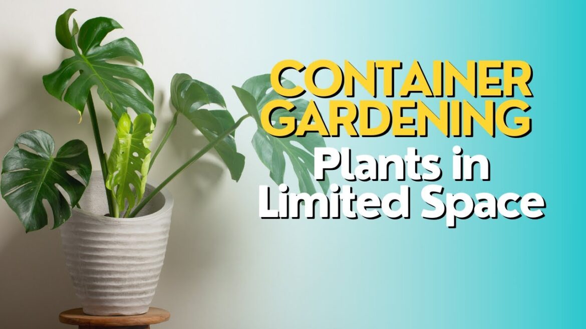 Container Gardening: Growing Plants in Limited Space Container Gardening: Growing Plants in Limited Space