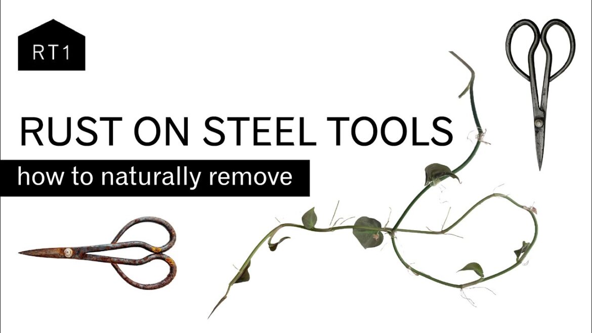 HOW TO NATURALLY REMOVE RUST FROM STEEL GARDENING TOOLS
