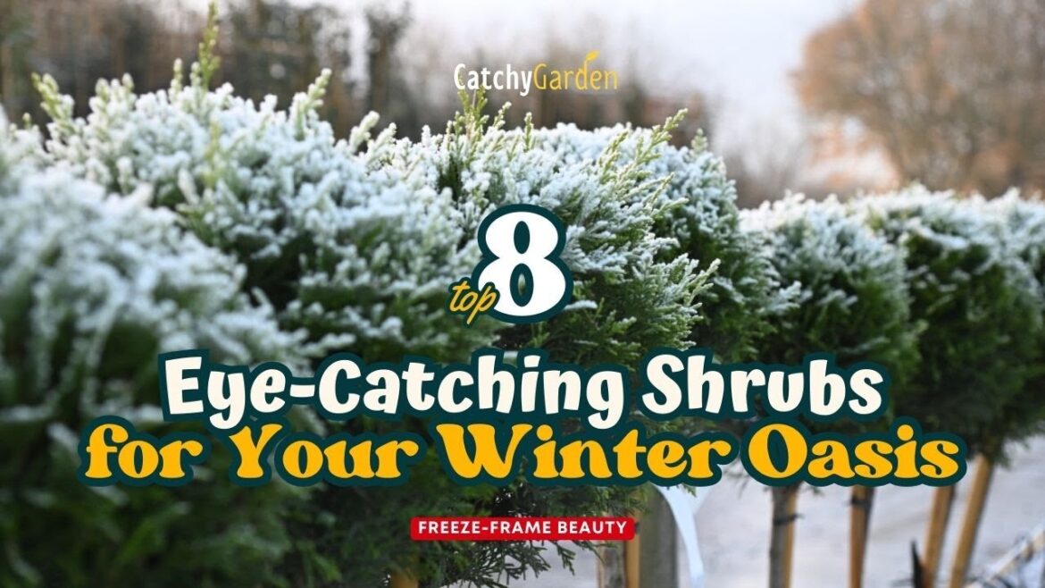 Freeze-Frame Beauty : Top 8 Eye-Catching Shrubs for Your Winter Oasis 🌹🍂🌷 // Gardening Ideas