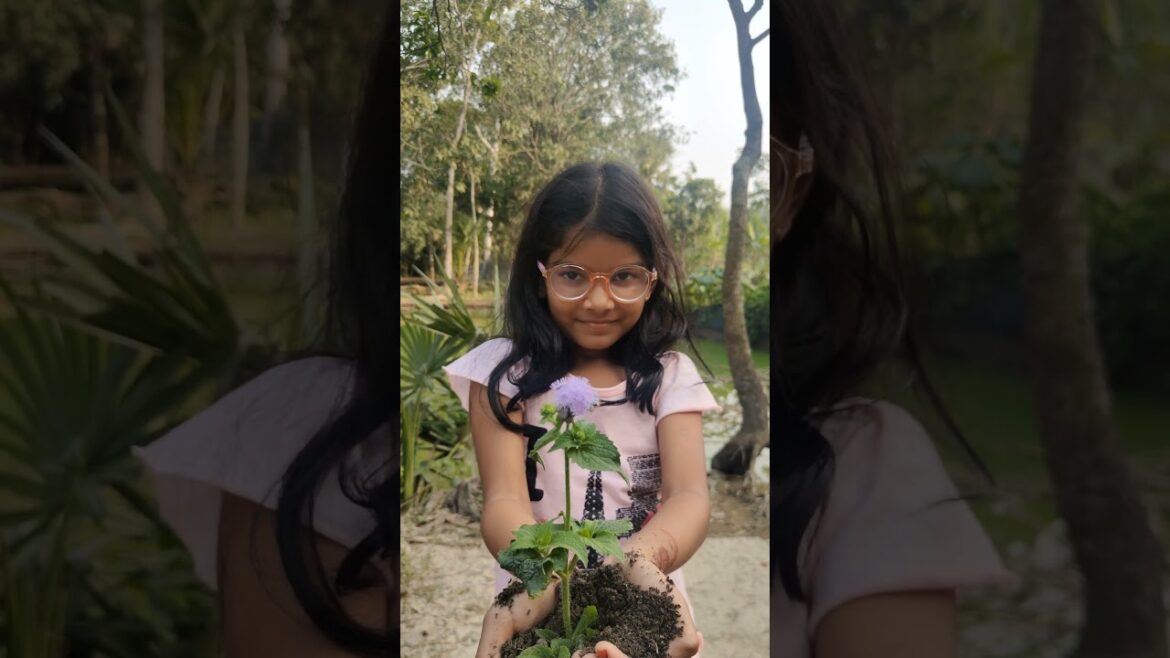 You won't believe your eyes #reverse #shorts