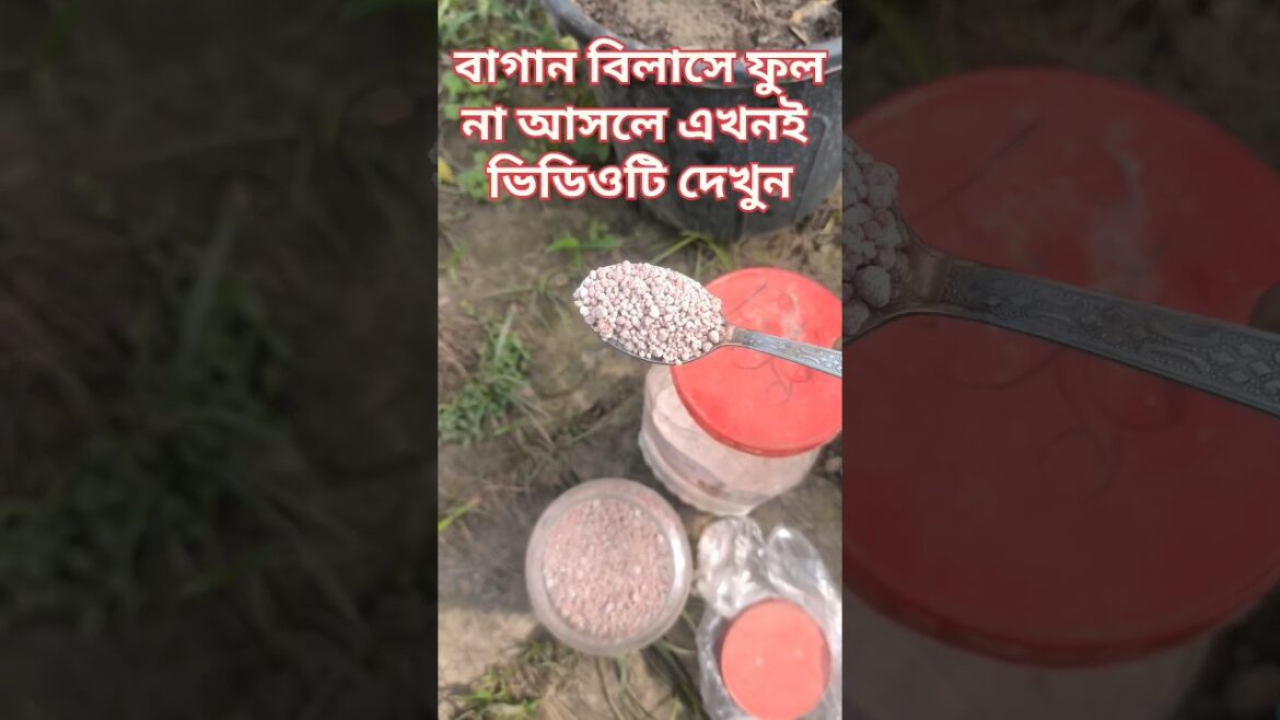 Gardening Tips #133 | #gardeningtips #gardeningshorts #shortsfeed