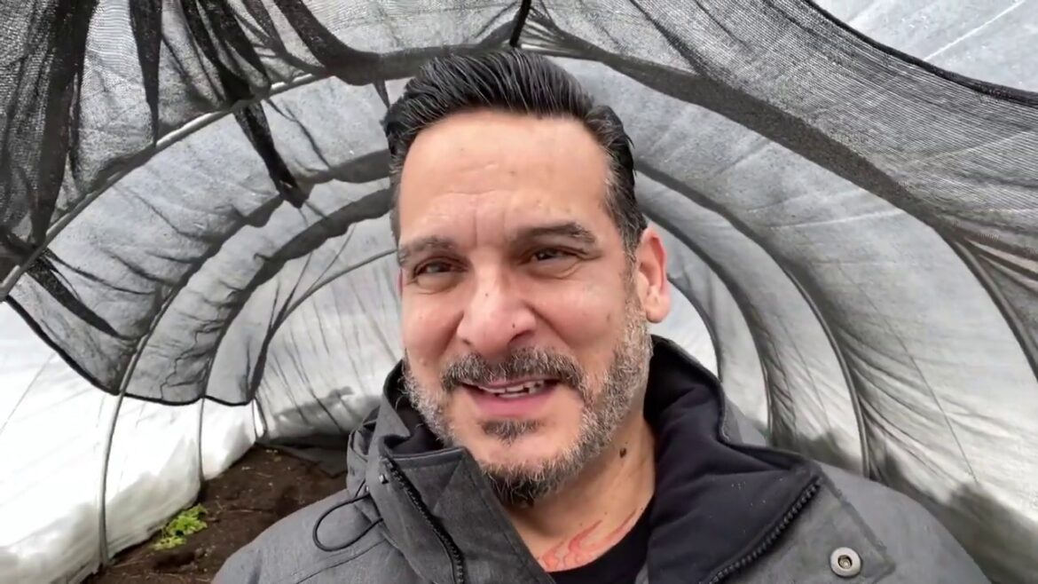 3 Garden Plans For 2020 Season