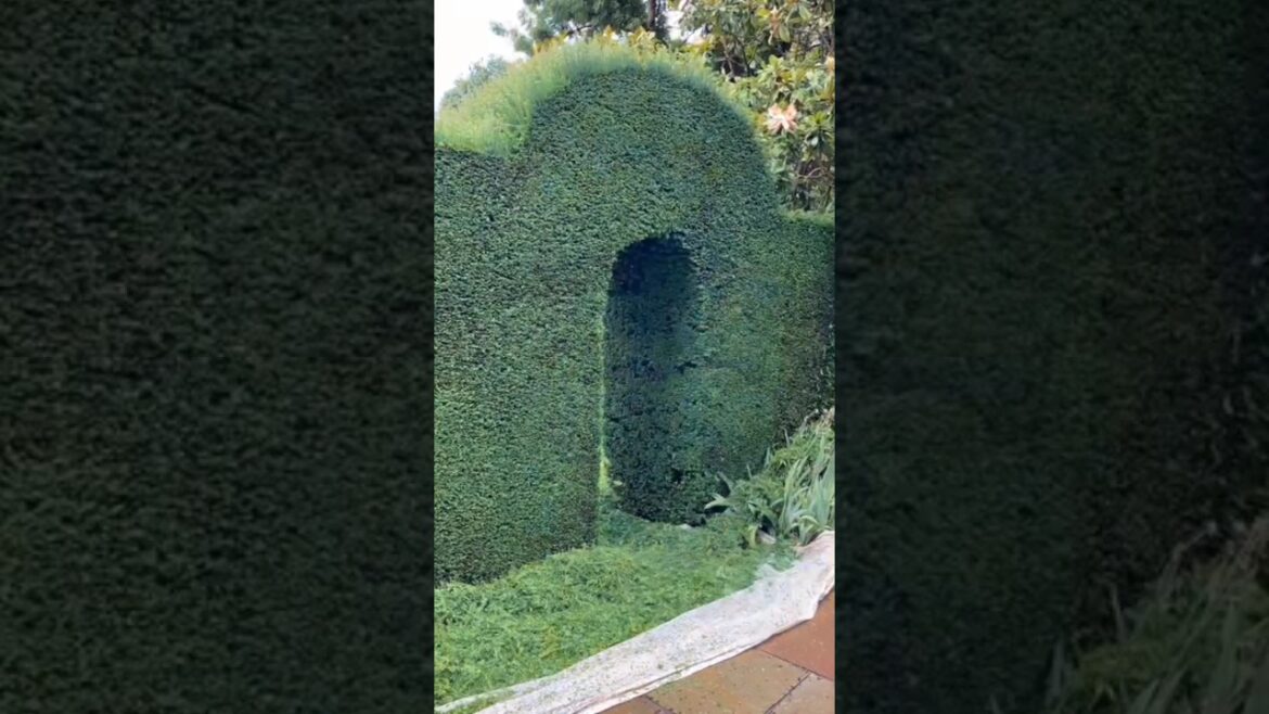 easy garden design#shortvideo #youtubeshorts #shorts