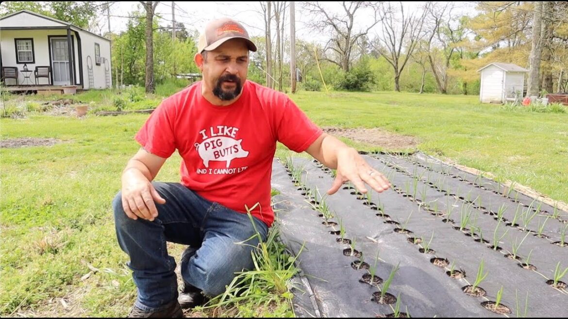 Experimental Gardening Might Be Paying Off! Experimental Gardening Might Be Paying Off!