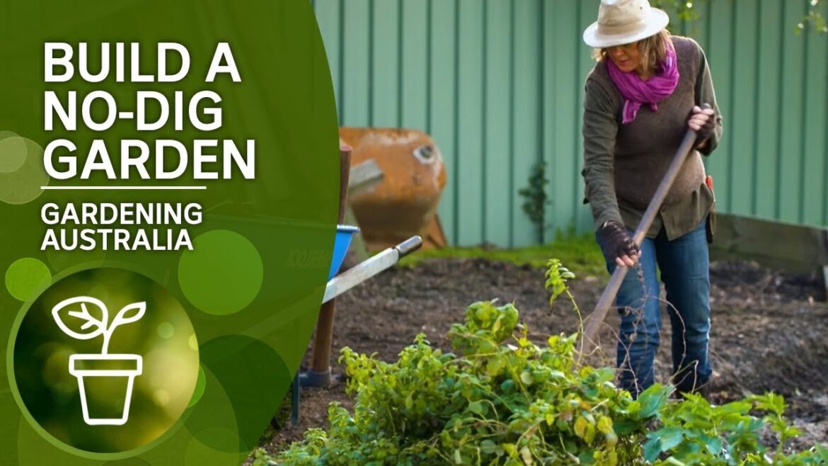 How to build a no-dig garden | DIY Garden Projects | Gardening Australia How to build a no-dig garden | DIY Garden Projects | Gardening Australia
