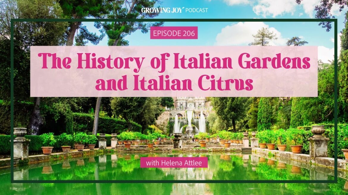 206 The History of Italian Gardens and Italian Citrus | Growing Joy with Plants | Podcast 206 The History of Italian Gardens and Italian Citrus | Growing Joy with Plants | Podcast