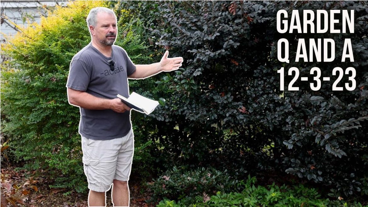 Garden Questions Answered – Indoor Live Christmas Tree, Clay Soils, Fertilizers, Zone Map, Leaves Garden Questions Answered - Indoor Live Christmas Tree, Clay Soils, Fertilizers, Zone Map, Leaves