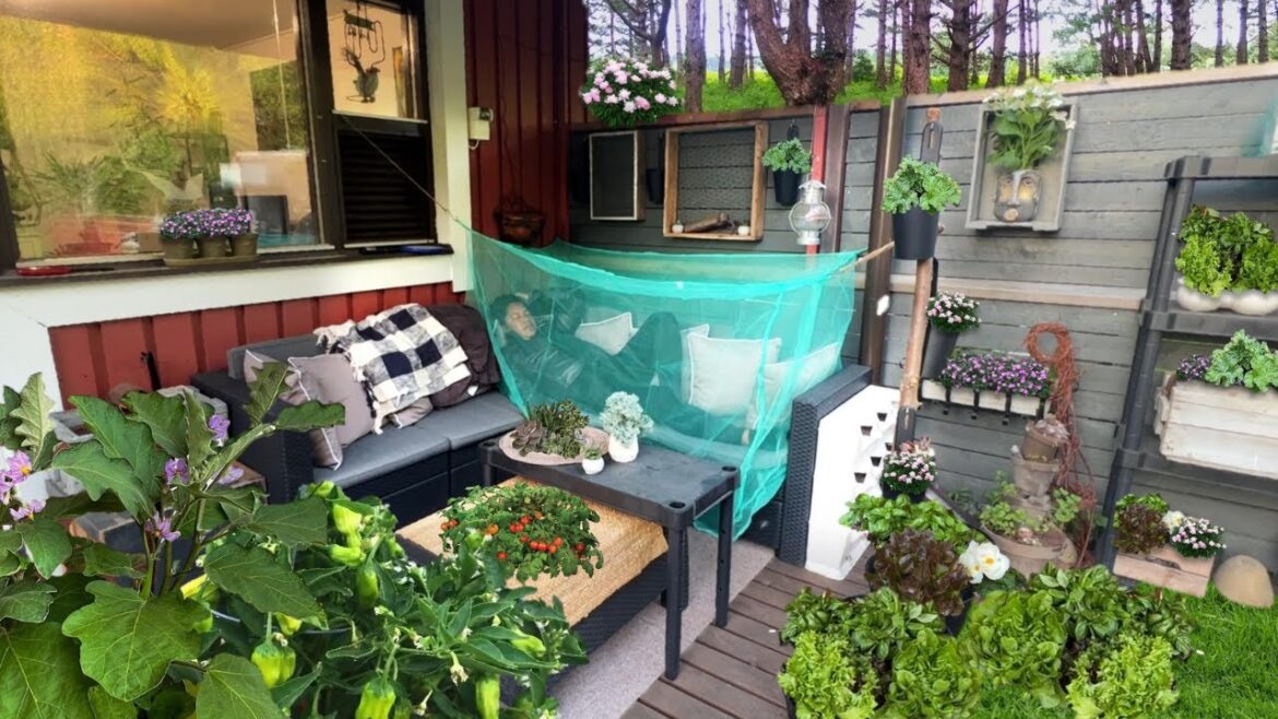 TULUGAN SA GULAYAN!!! Vegetable Gardening. Garden