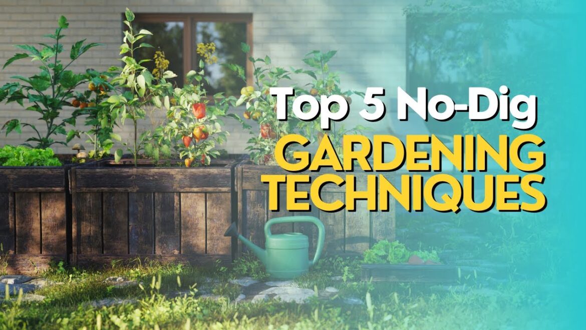 Top 5 No-Dig Gardening Techniques