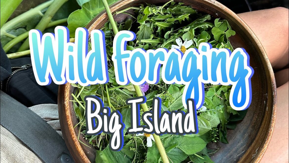 Wild Foraging Big Island Hawai’i - [21 common edible plants, fruit, seaweed]