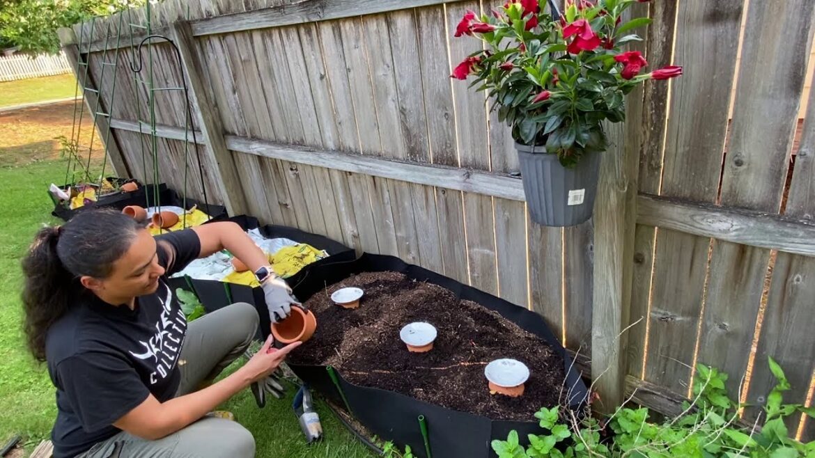 Ep. 27 - Creating a Backyard Food Forest in GA Zone 7b