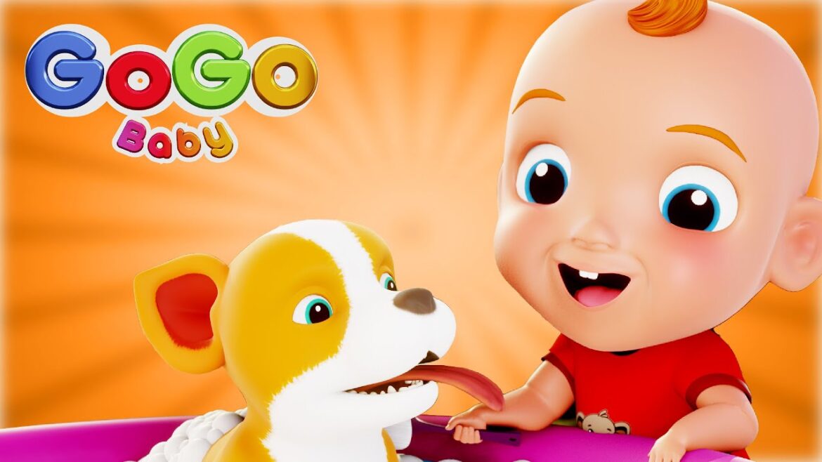 My Dog Song 🐶 Bingo Song🐶 Bingo and more Sing Along Kids Songs