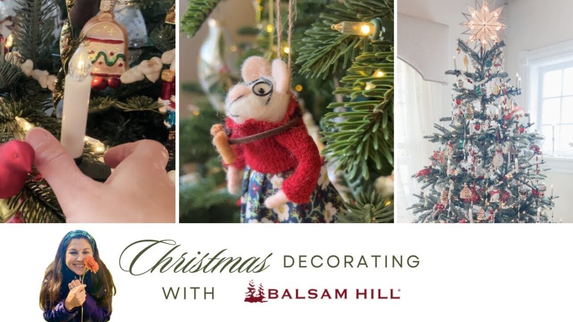 Setting up our Christmas tree 2023 🎄 How's It Growing?