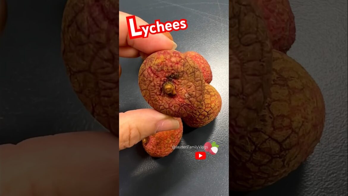 Lychees Fruit π #satisfying #shorts #shortsvideo #lychee Lychees Fruit π #satisfying #shorts #shortsvideo #lychee
