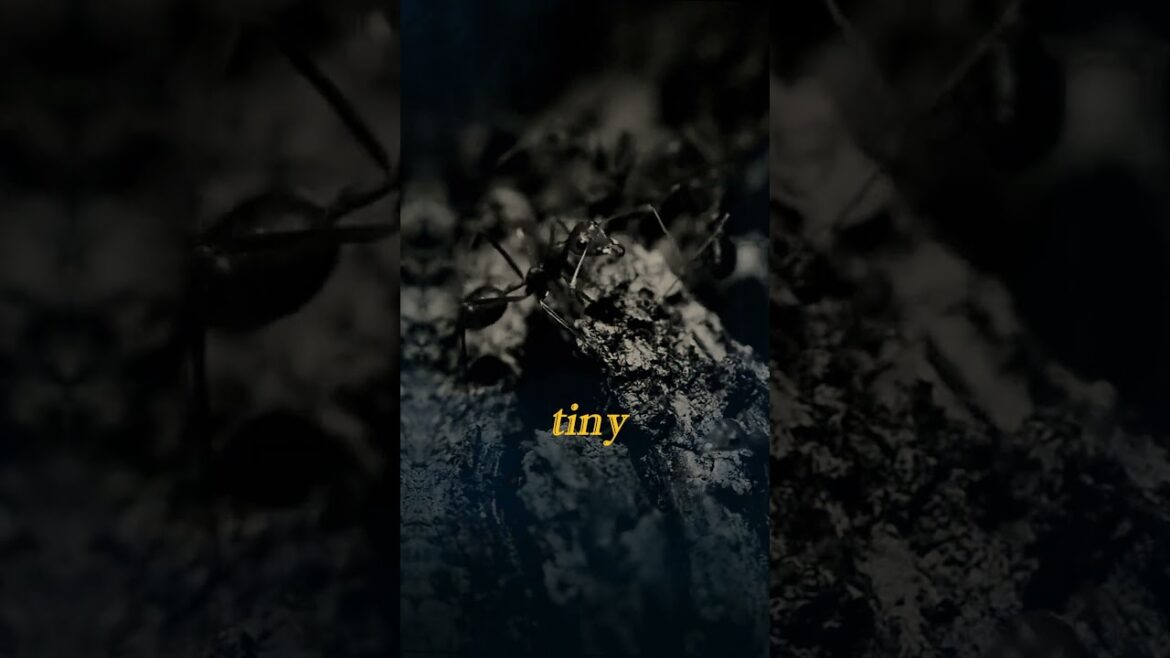 Fuel Your Day| Motivational, Inspirational, and Life Quotes Fuel Your Day| Motivational, Inspirational, and Life Quotes