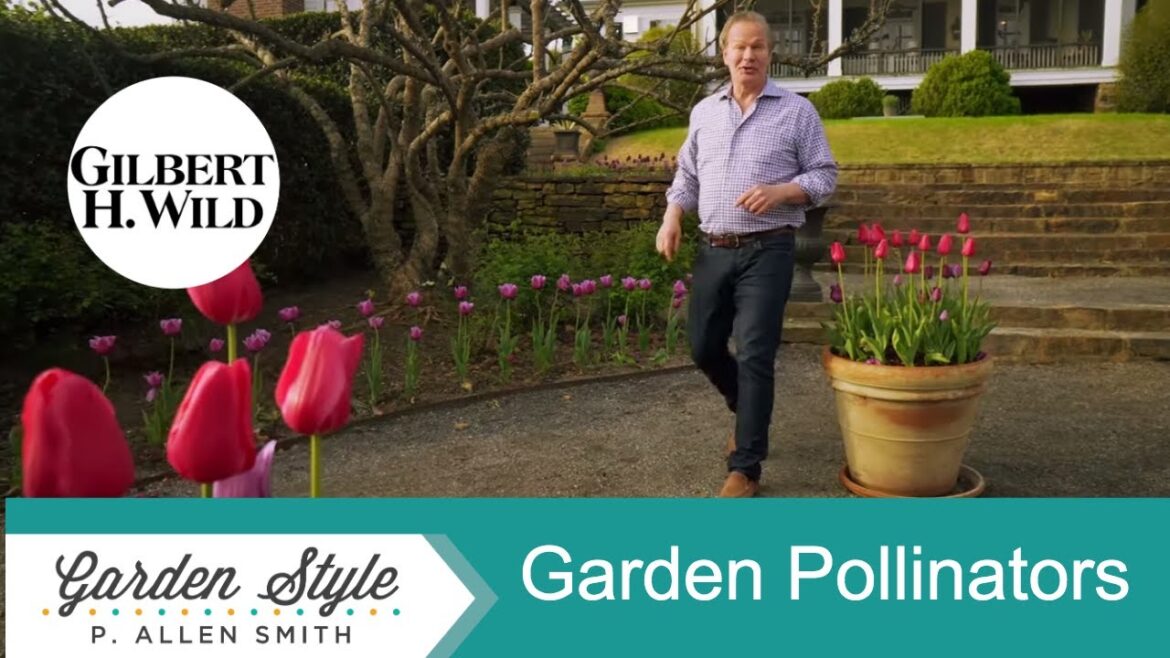 Attracting Garden Pollinators | Garden Style (1813) Attracting Garden Pollinators | Garden Style (1813)