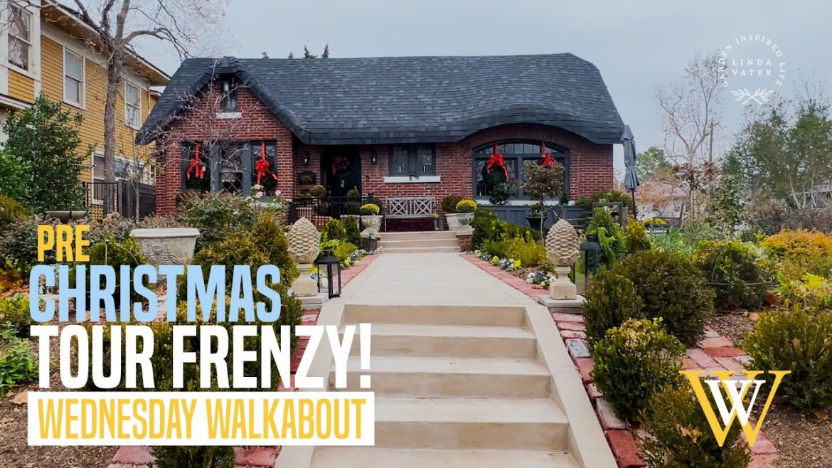 Pre Christmas Tour Frenzy! Pre Christmas Tour Frenzy!