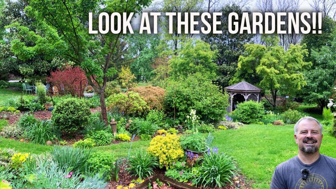 10 Amazing Garden Transformations 10 Amazing Garden Transformations