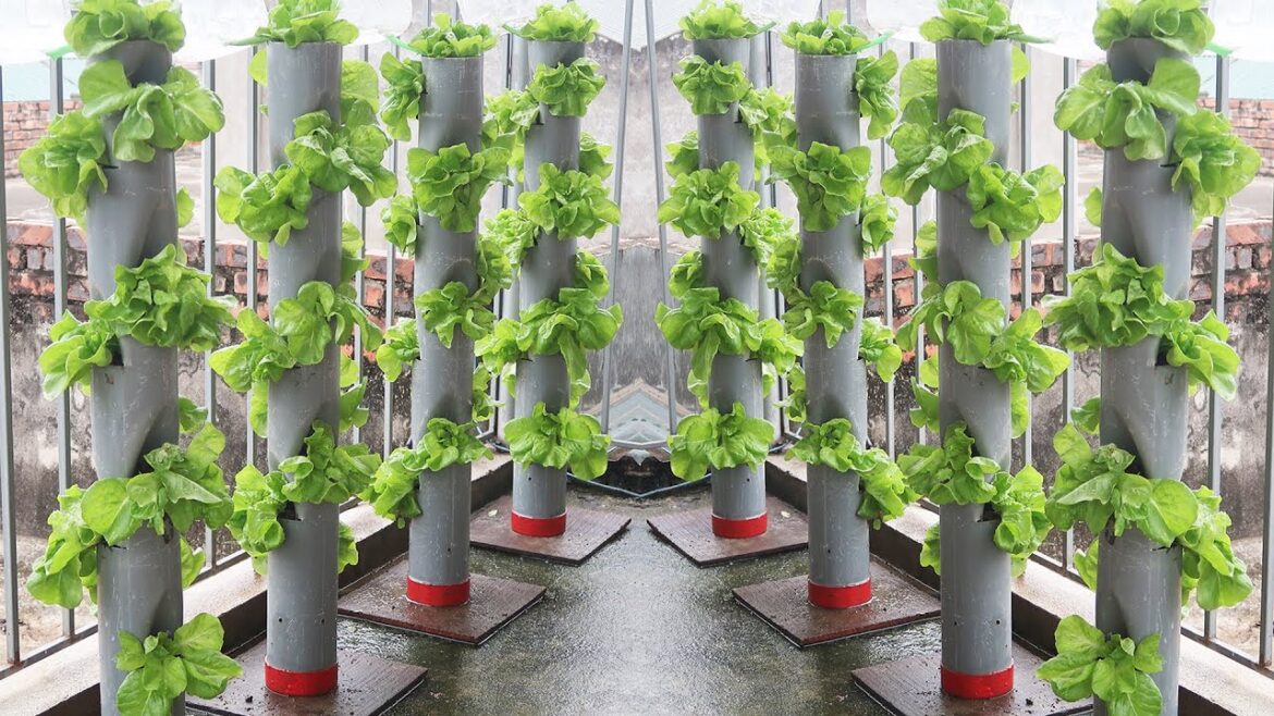 Automatic Watering Stand Garden Idea _ Recycling PVC Pipe Makes Beautiful Cegetable Garden Clean Automatic Watering Stand Garden Idea _ Recycling PVC Pipe Makes Beautiful Cegetable Garden Clean