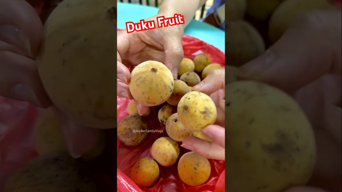 Bòn Bon or DUKU Fruits?? 😱 #shorts #satisfying #fruit #shortsvideo #fruitcutting #yummy