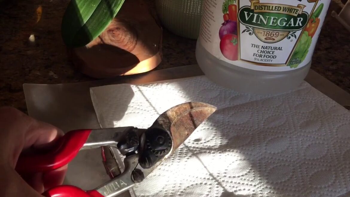 How to Easily Clean Rusted Gardening Tools - ORGANICALLY!
