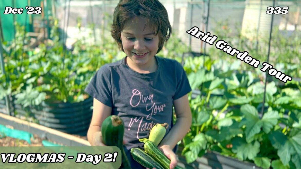 VLOGMAS 2023 - Day 2, Garden Tour and Updates... | Off Grid Australia 335